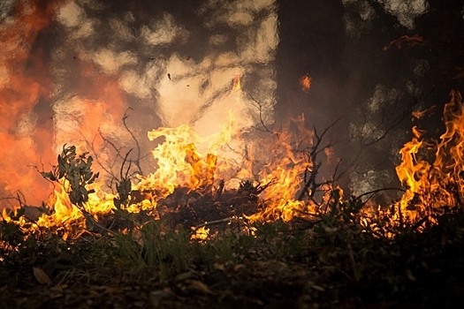 В лесах Приангарья сохраняется высокая пожароопасность