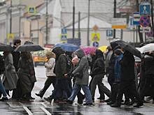 Ноябрь в Москве оказался дождливее обычного
