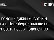 Центр помощи диким животным «Сирин» в Петербурге больше не сможет брать новых подопечных