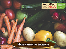 Что посмотреть на АГРОТЕХ Экспо – 2025: обзор новинок и интересных акций