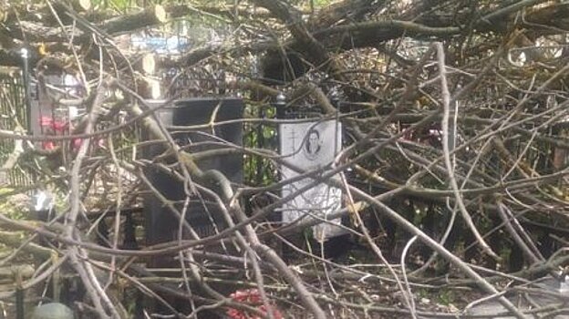 В Сердобске найдут виновного в захламлении могилы героя