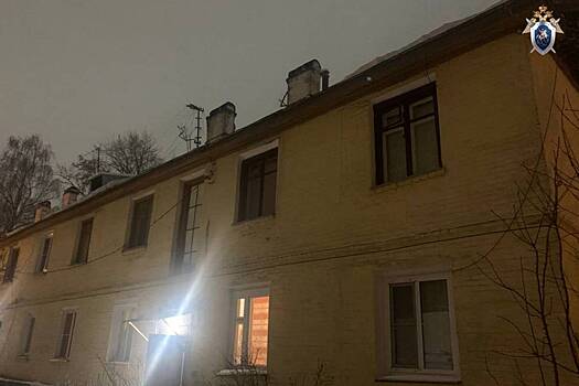 Огромная глыба льда с крыши рухнула на россиянку