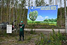 Карелия присоединилась к всероссийской акции «Сохраним лес»