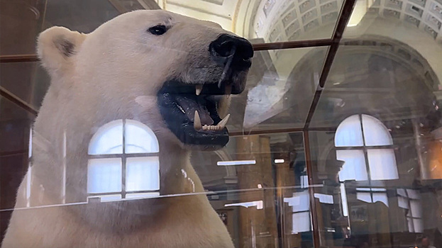 Путешествие со смыслом. ВИДЕО