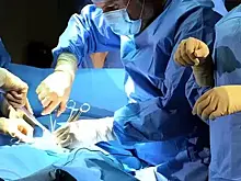 Снять, отремонтировать и вернуть в организм: в России научились по-новому лечить лёгкие