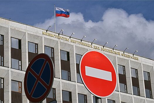 МВД России призывает граждан не поддаваться на провокационные призывы