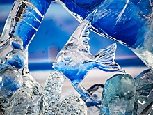 Заммэра Бирюков: К зиме клумбы в Москве оформят в виде сказочных образов