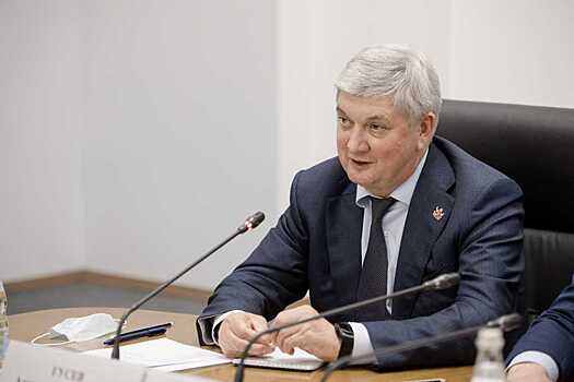 Воронежским многодетным семьям окажут дополнительную поддержку