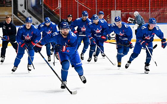 Шестаков: Сейчас идут переговоры по трансляции матчей СКА на канале «78»