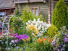 10 фатальных ошибок в планировке дачного участка: разбор эксперта