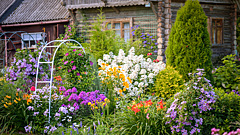 Дизайнер назвала 10 роковых ошибок в планировке дачного участка