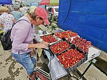 Минсельхоз и ФАС выясняют, почему в России подорожала клубника