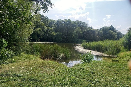 За первый месяц купального сезона в Тамбове произошло 2 несчастных случая