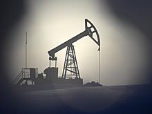 Эксперты сомневаются, что цена нефти в 2024 году достигнет $100 за баррель
