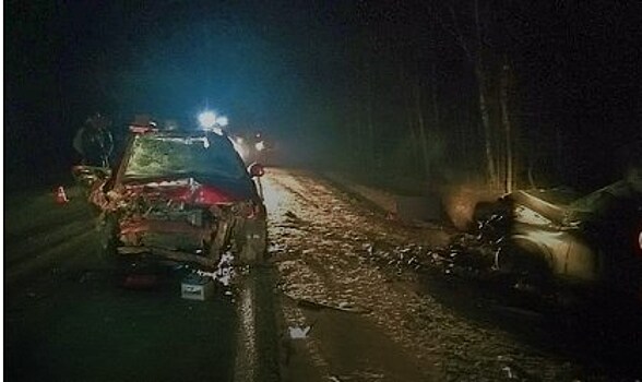 Во Владимирской области ищут свидетелей смертельного ДТП