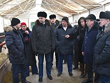 Андрей Травников встретился с аграриями Баганского района