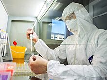Российские ученые создали тест для оперативного выявления любого вируса