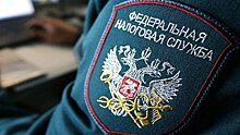 Экс-сотрудник воронежской налоговой службы получил реальный срок за обман фирмы