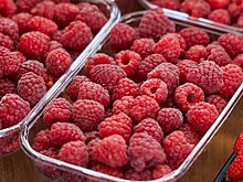 Чем обусловлена высокая стоимость ягод и грибов