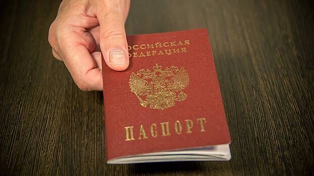 Юрист Хаминский объяснил, что грозит сжегшей паспорт жительнице Брянска