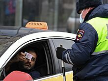 Ещё один российский регион запретил мигрантам работать в такси