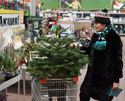 К «докризису» в новом формате. DIY-рынок поддерживают ипотека и жилищное строительство