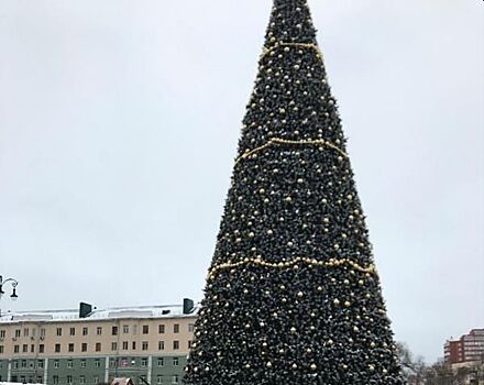 В Пензе за демонтаж главной новогодней елки заплатят 361 тыс. рублей