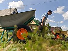 Дезинфектолог назвал способы борьбы с зимующими в почве дачными вредителями