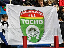 Клуб «Тосно» возвращается в профессиональный футбол