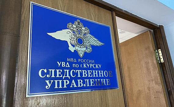 Ирина Волк прокомментировала задержание гендиректора Корпорации развития Курской области