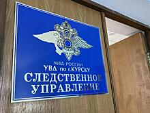 Ирина Волк прокомментировала задержание гендиректора Корпорации развития Курской области