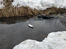 Спокойный паводок прогнозируют в Удмуртии этой весной