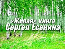 В Липецке презентовали "Живую" книгу Сергея Есенина"