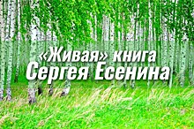 В Липецке презентовали "Живую" книгу Сергея Есенина"