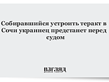 Собиравшийся устроить теракт в Сочи украинец предстанет перед судом