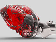 Как настоящие: зачем имплантатам маскироваться под живые ткани