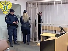 Отправлен под стражу руководитель склада с ядовитым алкоголем в Ленобласти