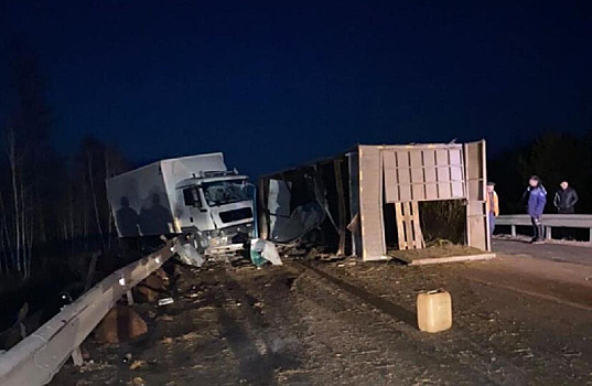 В Магдагачинском районе из-за столкновения большегрузов в лес убежало стадо баранов