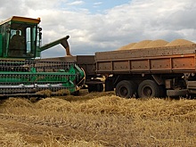 Аграрии Красноярского края  экспортировали в 2,6 раза больше зерна и рапса