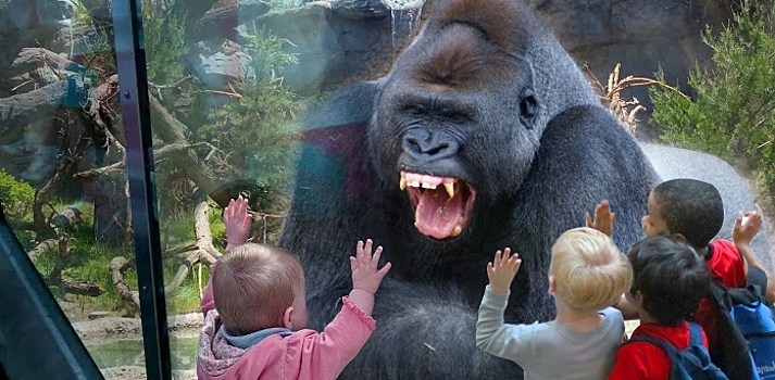 12 самых смешных фотографий про детей в зоопарке
