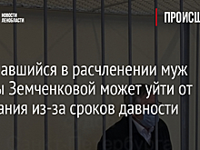 Признавшийся в расчленении муж Ирины Земченковой может уйти от наказания из-за сроков давности