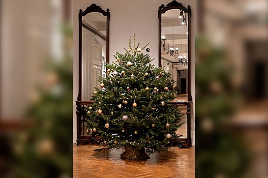 В каких столичных театрах самые стильные елки