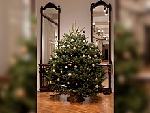 В каких столичных театрах самые стильные елки