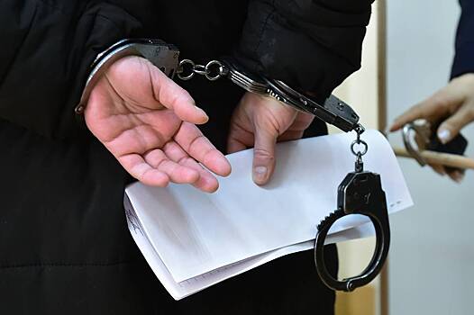 Силовики задержали экс-замруководителя Фонда содействия реформированию ЖКХ