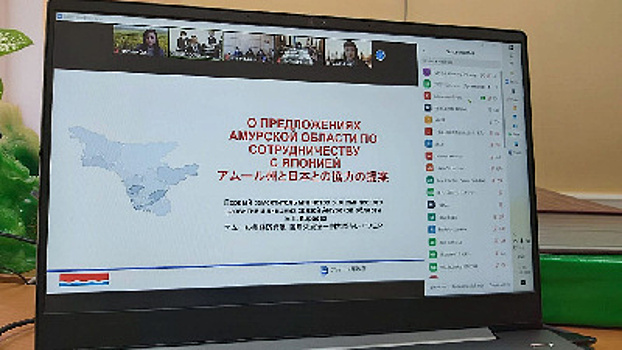 Сельское хозяйство, медицина, туризм: Приамурье развивает отношения с Японией онлайн