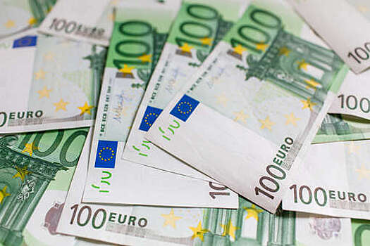 Чешский Нацбанк рекомендовал властям временно отказаться от перехода страны на расчеты в евро