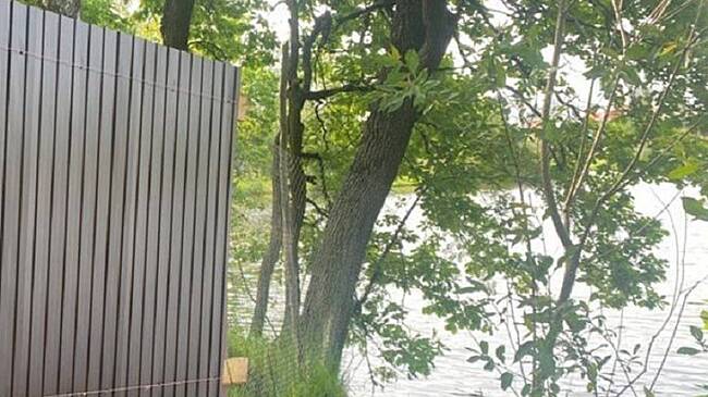 Частники незаконно загородили жителям Пушкино и Истры проход к местным водоемам