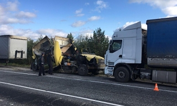 На автодороге Сургут - Салехард фура въехала в иномарку