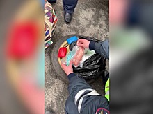 6 видов наркотиков перевозил в своём автомобиле житель Новосибирска