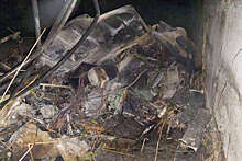 Фрагменты упавшего на Ставрополье вертолета Ми-2 нашли в поле сгоревшего камыша